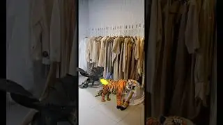 DRAGON VS TIGER IN A STORE😱😱 #dragon #tiger