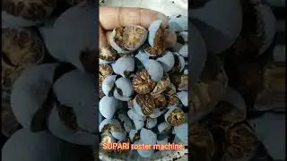 SUPARI betel nut areca nut ROSTER MACHINE - DOYE ENGINEERING 09595238590