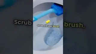 Sparkling Clean Toilet  Easy Guide!