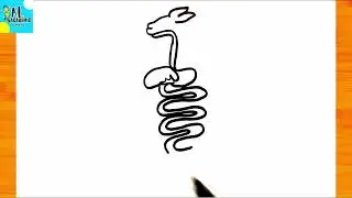Drawing Rabbit Digestive System | How to draw a Rabbit Digestive System