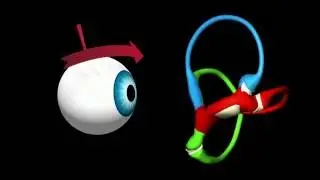 Ewald's First Law: Eye Movements Associated with the Left Horizontal Canal