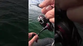 Ce leurre est incroyable pour la p&ecirc;che du bar 😍 #shorts