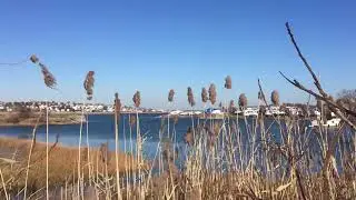 Nature in Winthrop