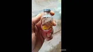calcivet injection