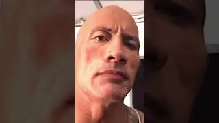 The rock vs rock cow