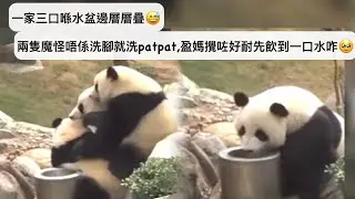 ｜家姐細佬盈盈同場｜10月17日. 一家三口層層疊｜兩隻魔怪洗腳洗patpat,盈媽攪咗好耐先飲到一口水咋｜Ocean Park｜香港大熊貓｜海洋公園｜遊遊蕩蕩放空記｜加加得得｜팬더｜パンダ｜