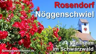 Rosendorf N&ouml;ggenschwiel im Schwarzwald