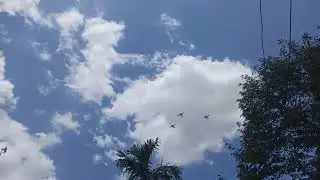 sf 260 marchetti plane high speed pass