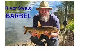 Day Ticket Water, River Swale, Barbel Fishing