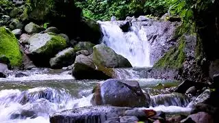 Mountain River Nature Soundscape for Deep Relaxation and Mental Peace