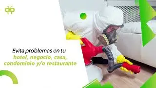 Pro Pest Control