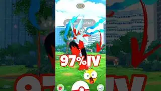 97%iv Mega Blaziken evolution in  Raid in pokemon go #soparstart #pokemon #shortsfeed