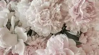 STRESS AND ANXIETY CLEANSE ⋆.ೃ࿔*:･ [ fast results subliminal ]
