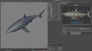 Great white shark 3d model for Cinema 4d