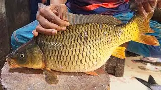 Big&nbsp;Karfu Fish Cutting at Market | Live Fish Cleaning