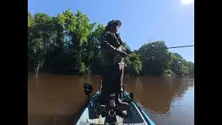 Nottoway River Bass Fishing 
