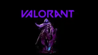 Valorant Stupidity