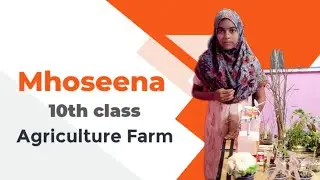 Mhoseena || Agriculture Farm projects ||Wisdom Academy