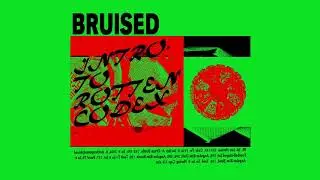 BRUISED - ...​Introduction To Rotten Codex
