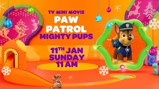 Something Magical Has Landed in Adventure Bay | PAW Patrol: Mighty Pups