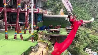 Single tree swing