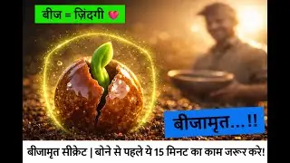 बीजामृत सीक्रेट | बोने से पहले ये 10 मिनट का काम जरूर करें!  | Beejamrutha|  Organic Farming