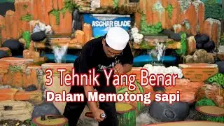 Jangan Sampai Tidak Adab Dalam Memotong Sapi