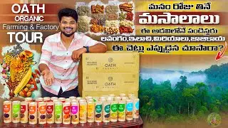 ORGANIC మసాలాలు ఎలా పండిస్తారో చూడండి | Ft.5monkeys Food