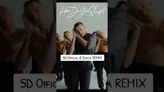 Sam Smith - How Do You Sleep (SD Official & Shiela REMIX)