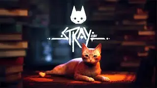 Stray Livestream Part 2 31/07/22