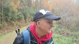 01.11.25 jubiläums wandern rund um niedersimten ponyhof (pony to go)