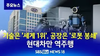 기술은 '세계 1위', 공장은 '로봇 봉쇄'…현대차만 역주행? [NEWS 18]