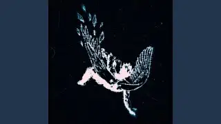Icarus (falling down) (feat. Drace)