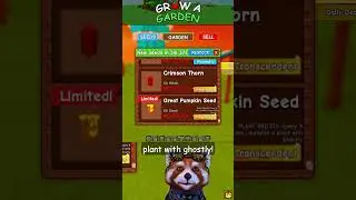 New Limited Great Pumpkin Seed - 🎃GHOUL GARDEN🎃 Event