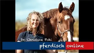pferdisch.me Online Trainingstipps