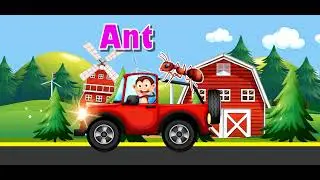 Insect's Learning Video