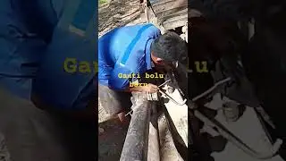 #rotibolu