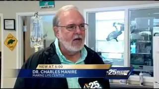 Repeat sea turtle egg poacher faces federal charges
