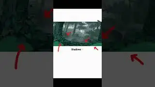 How to make a forest background (digital art)