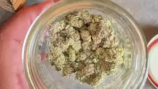 SHOPHELLOMARY LA Pop Rocks Flower thca review!! (2/2) Care pack review!! 