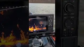 livescope lvs32 with a gps1022 as clear as they get #livescope