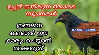 അപകടം സംഭവിക്കുന്നതിന് മുൻപ് മാത്രം ഉപ്പൻ നൽക്കുന്ന സൂചന. jyothisham Malayalam. uppan. astrology.