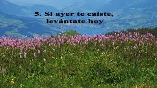 Pensamientos positivos para una vida proactiva.