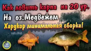 Карп на оз.Медвежье. Стоит ли туда ехать? на 20 ур. Хардкор режим!  |Русская Рыбалка 4 | РР4