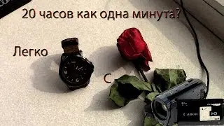 Timelapse Роза&Время (Legria R606)
