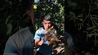 Monkey Delivery? #camping #survival #outdoors #monkey