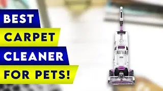 3 Best Carpet Cleaner For Pets! ✅