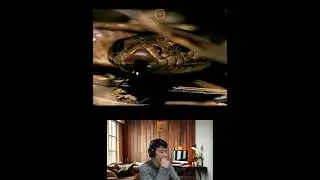 Amazing Animal Growth Journey #animals #funny #cute