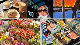 Ketika Tinggal di Desa Finlandia