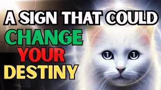 Allah&rsquo;s Secret Messengers: The Untold Story of Cats in Islam!